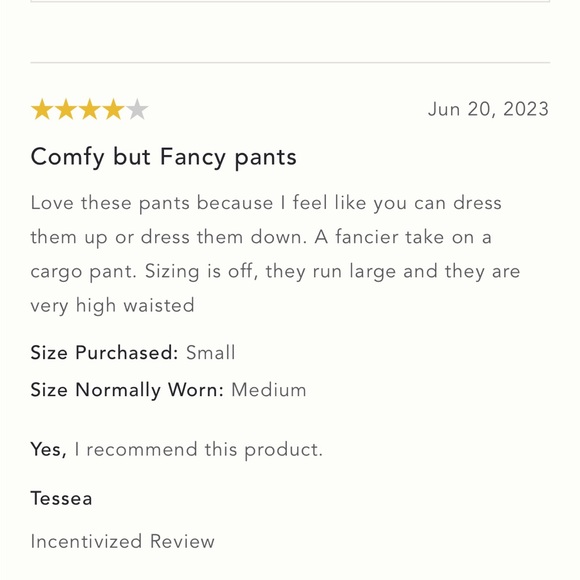 Anthropology NWT silky cargo pant size L - Picture 6 of 16